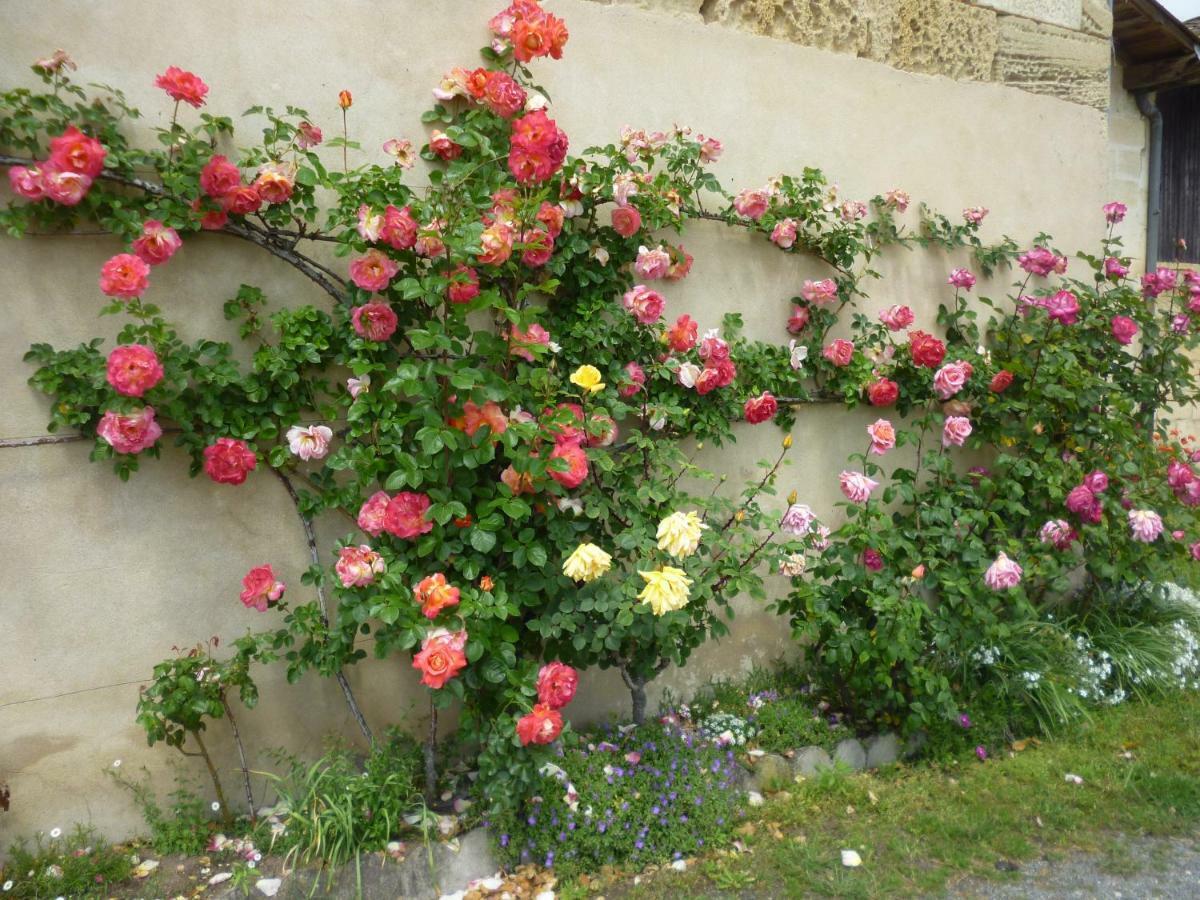 Le Clos Des Rosiers Saint-Emilion Exterior photo